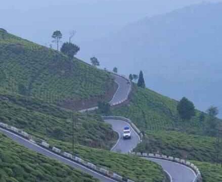 Book Sittong Choden Homestay | Near Mahaldiram Tea Garden, Kurseong