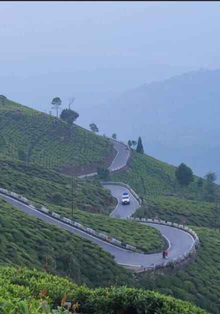 Book Sittong Choden Homestay | Near Mahaldiram Tea Garden, Kurseong