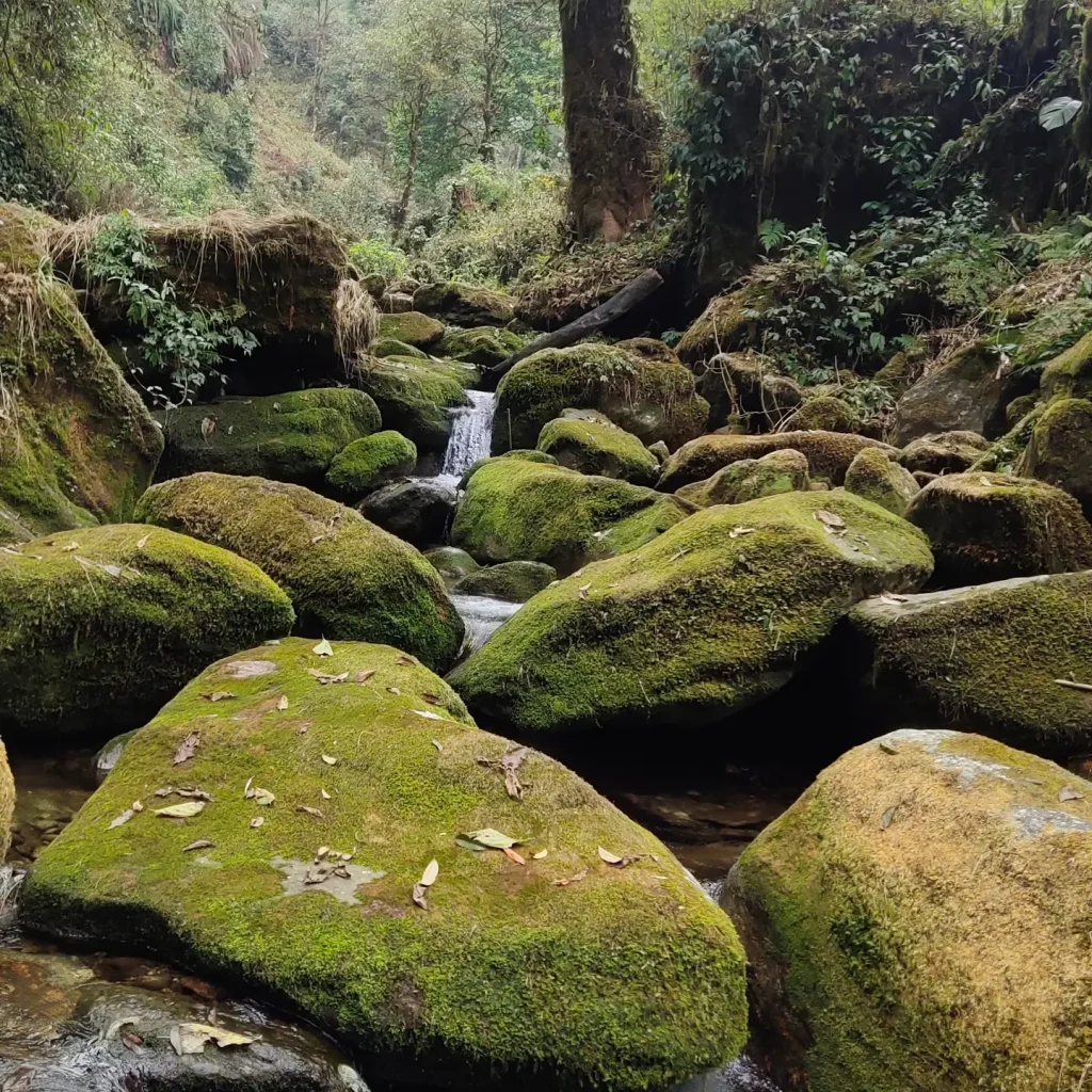 IMG_20230403_130439_651-2